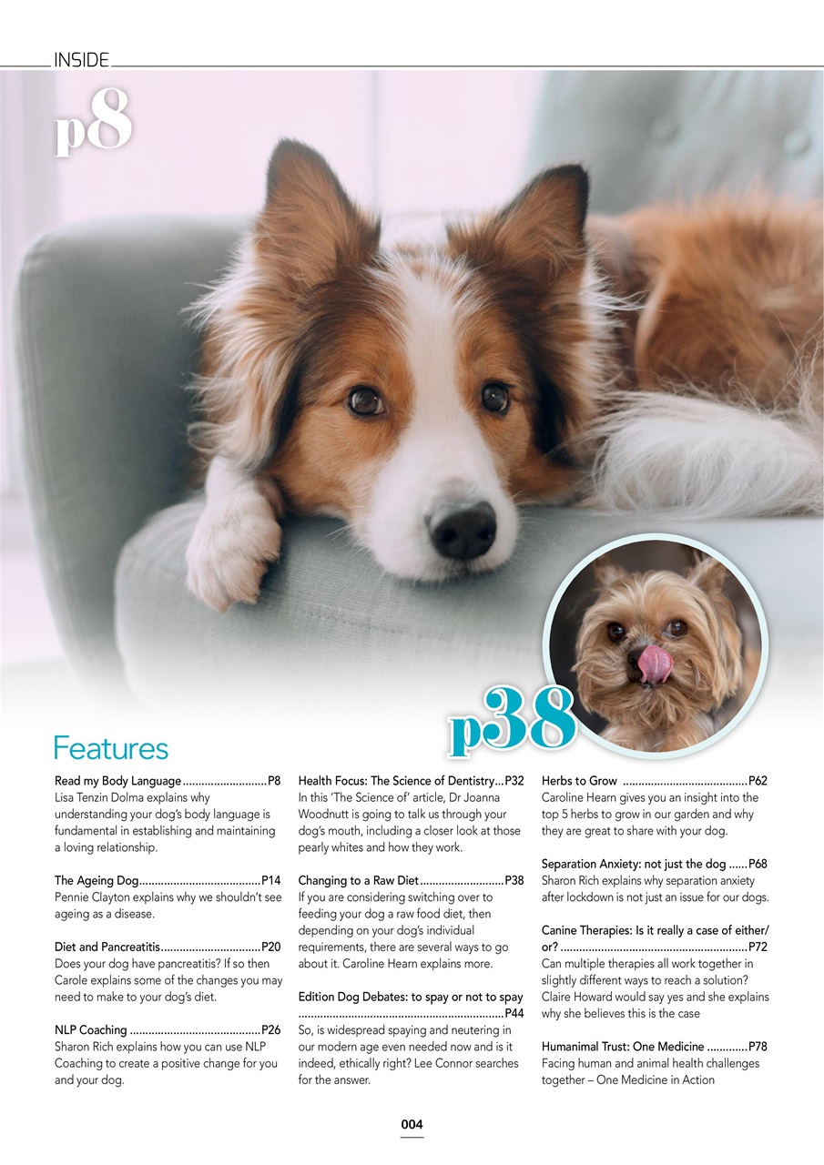 Edition Dog Preview Pages