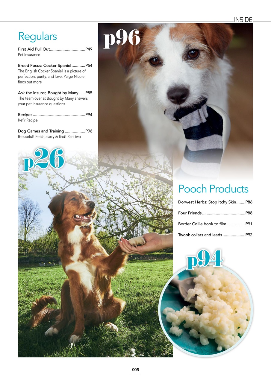 Edition Dog Preview Pages