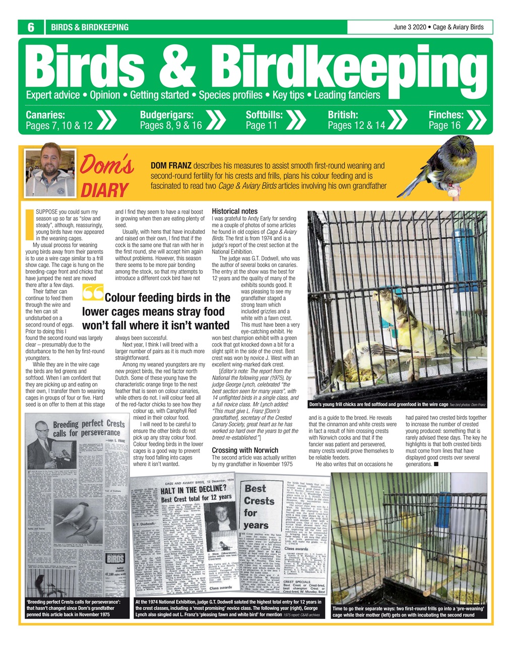 Cage & Aviary Birds Preview Pages