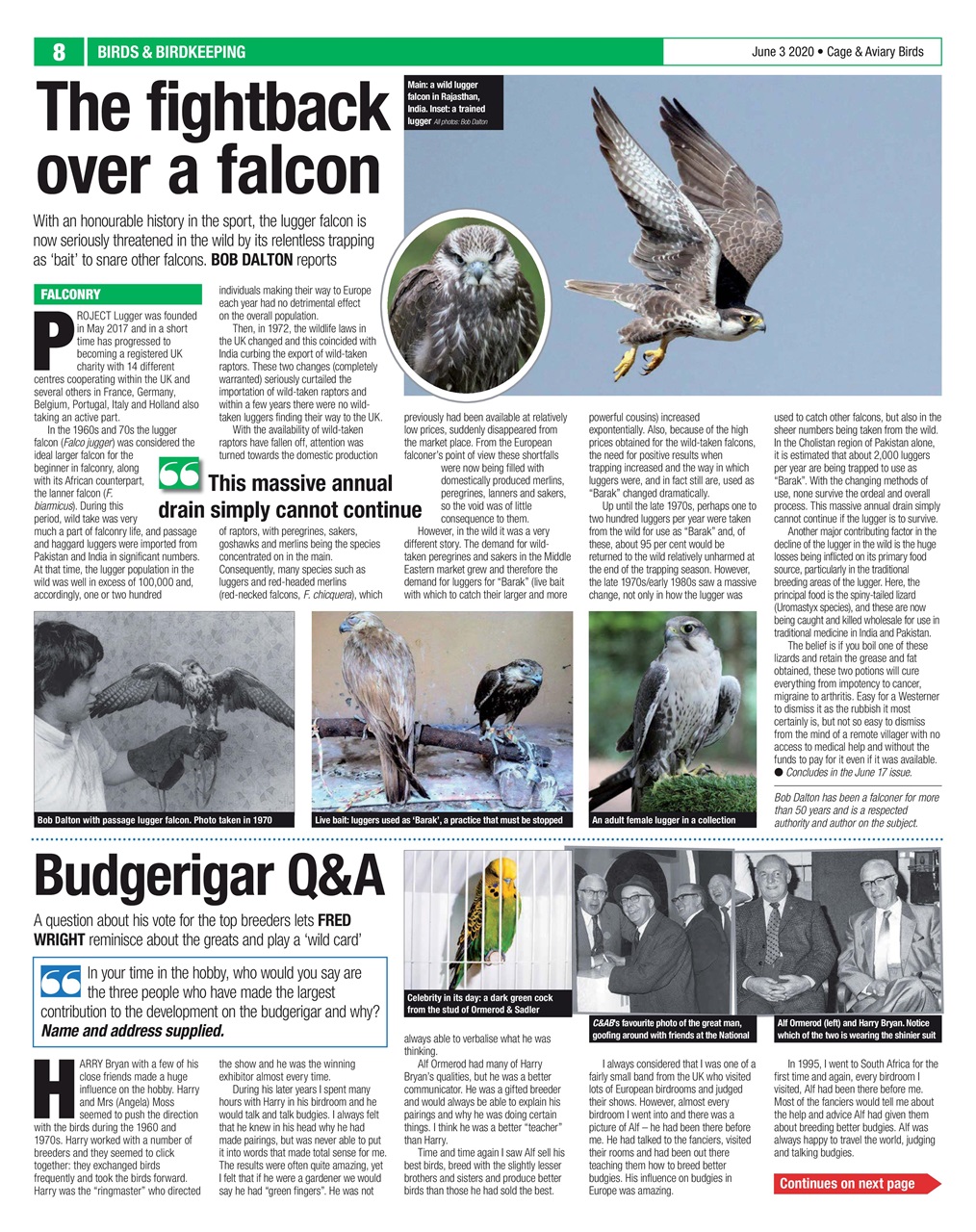 Cage & Aviary Birds Preview Pages