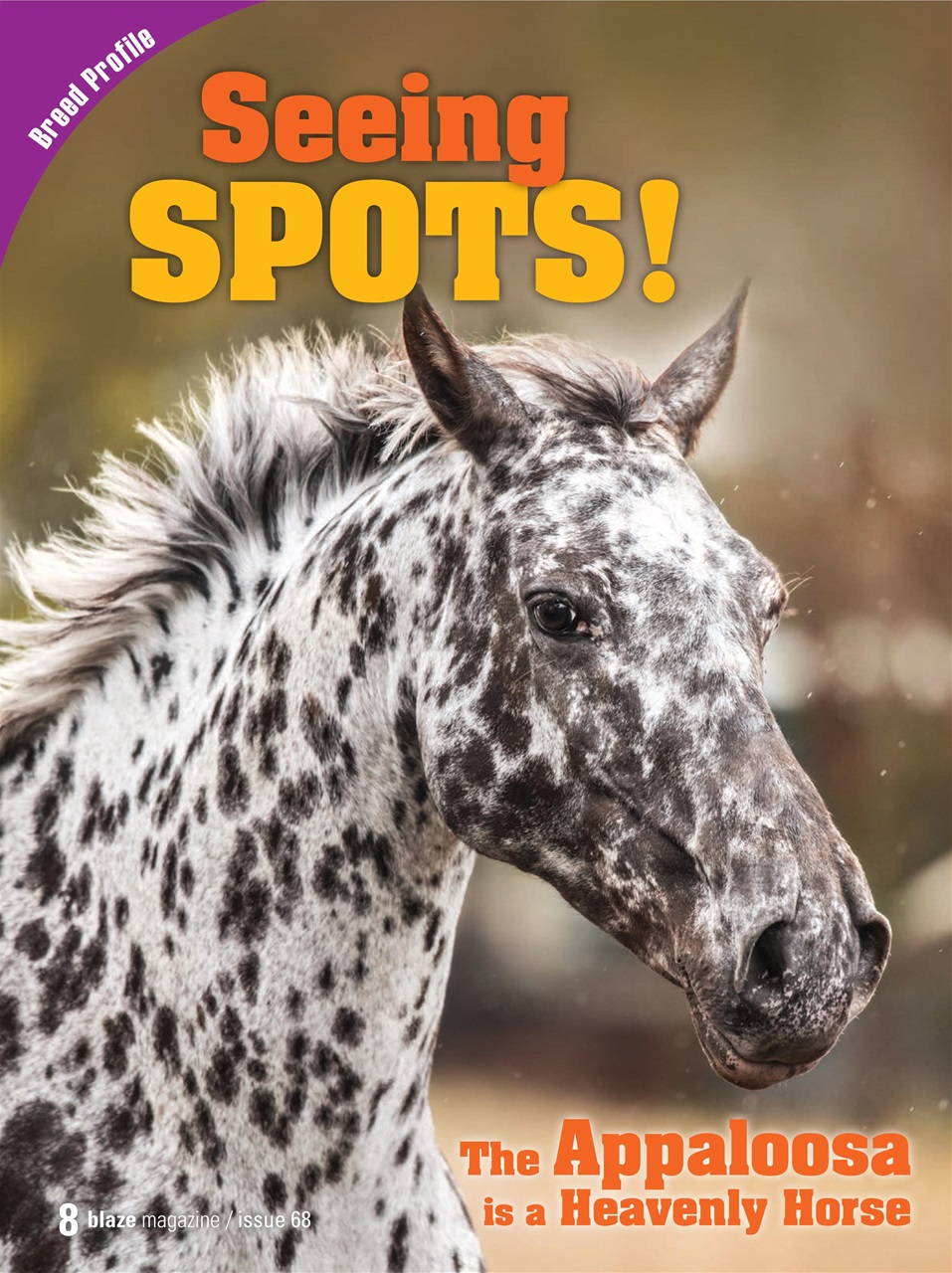 Blaze Magazine For Horse Crazy Kids Preview Pages