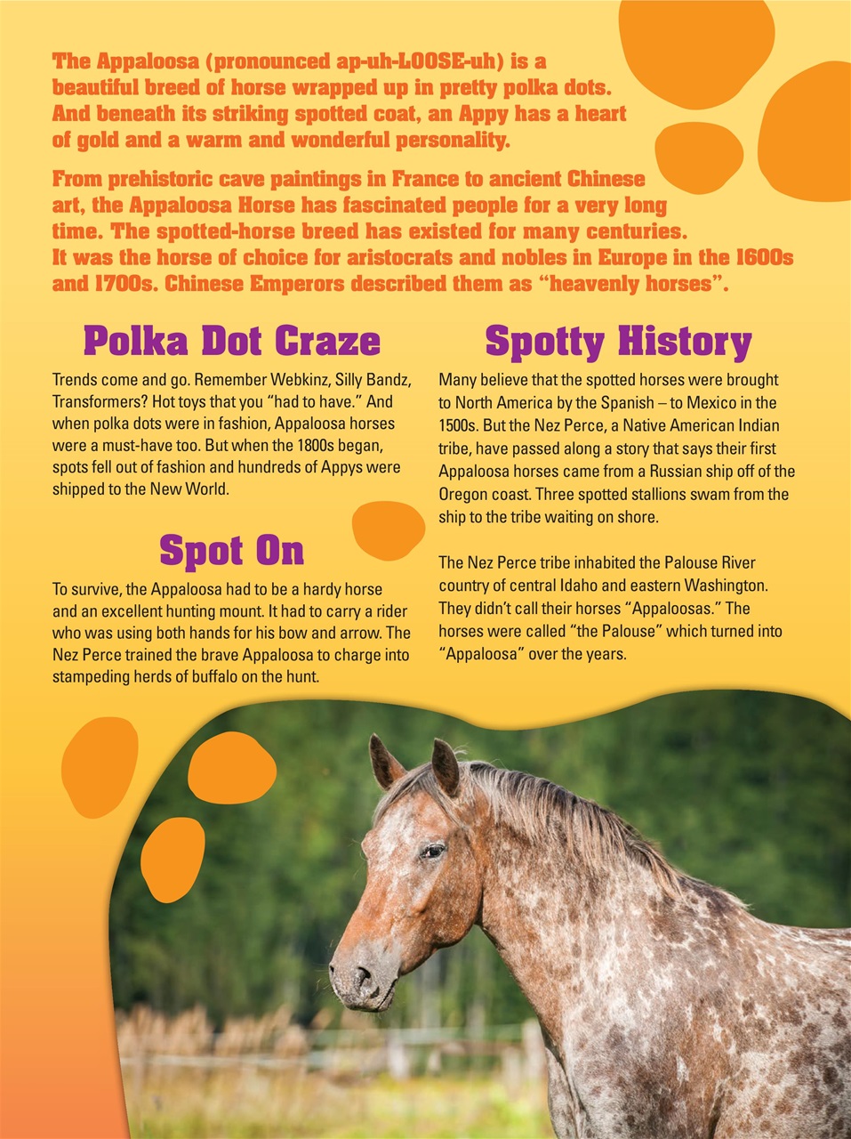 Blaze Magazine For Horse Crazy Kids Preview Pages