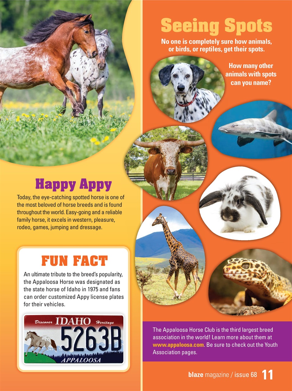 Blaze Magazine For Horse Crazy Kids Preview Pages