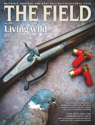 The Field issue Jul-2020