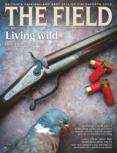 The Field issue 