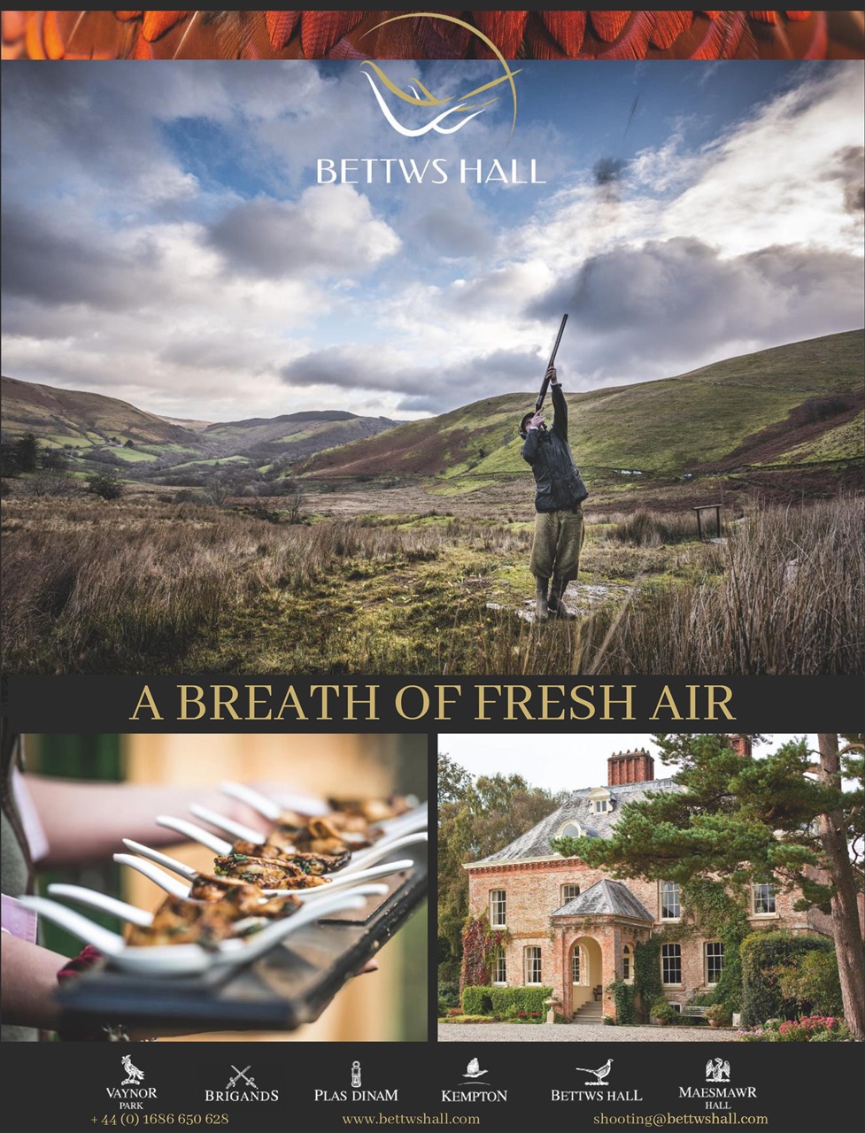 The Field Preview Pages