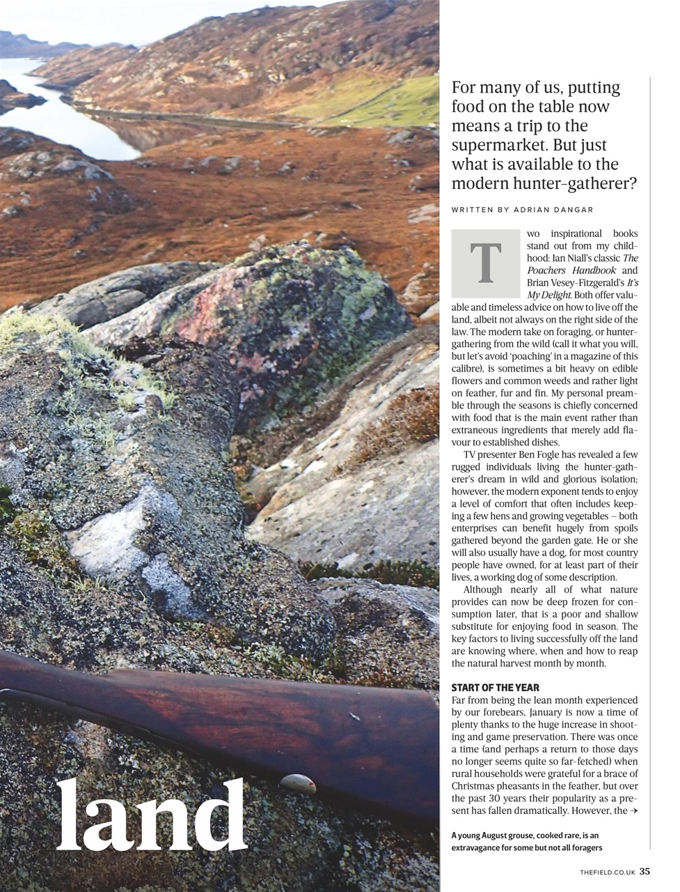 The Field Preview Pages