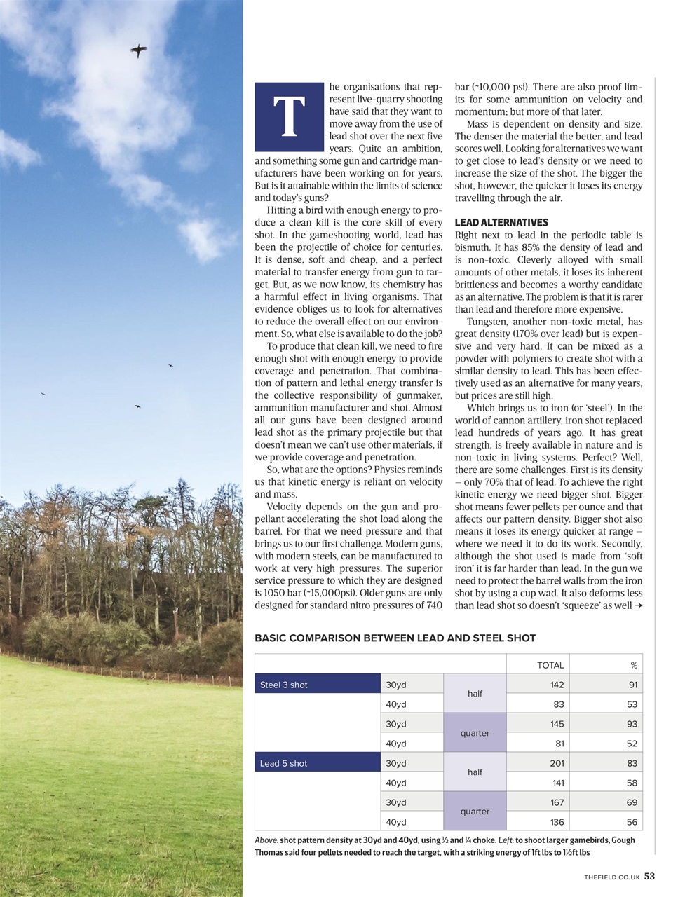 The Field Preview Pages