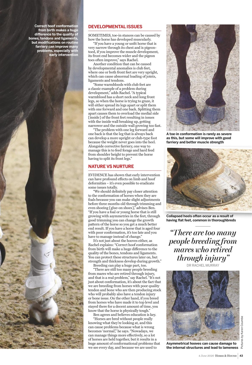 Horse & Hound Preview Pages