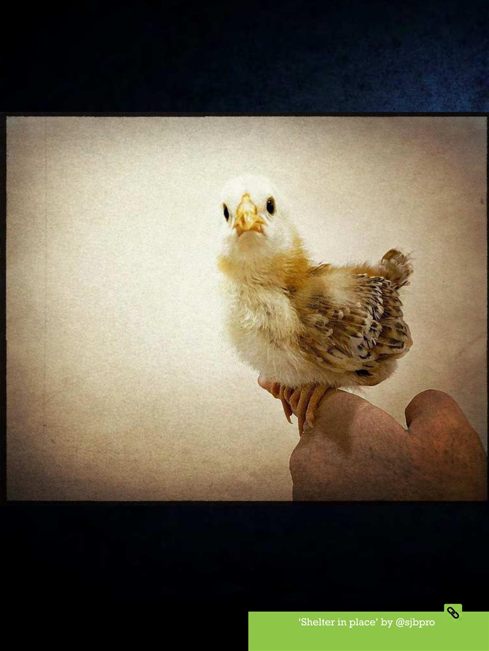 Mobiography Preview Pages