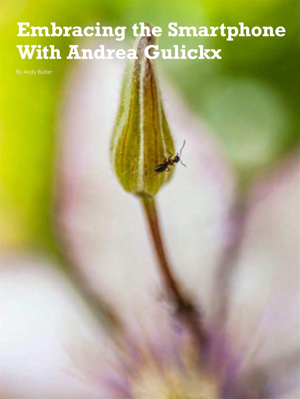 Mobiography Preview Pages