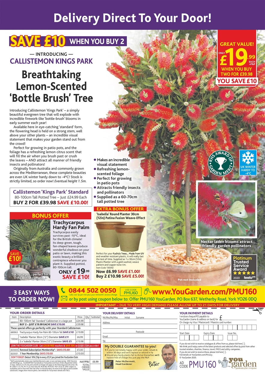 Pick Me Up Preview Pages