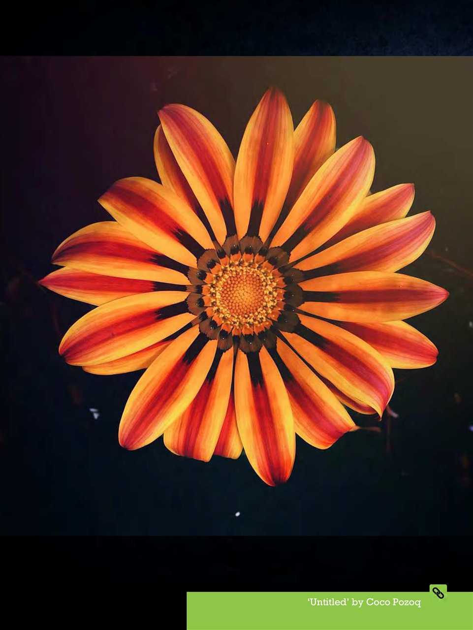 Mobiography Preview Pages