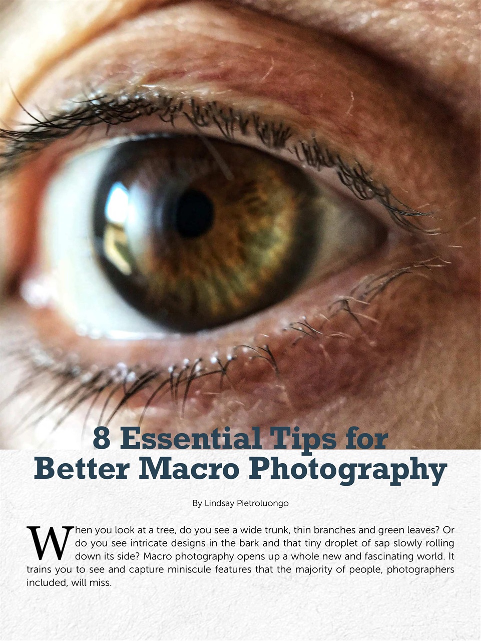 Mobiography Preview Pages