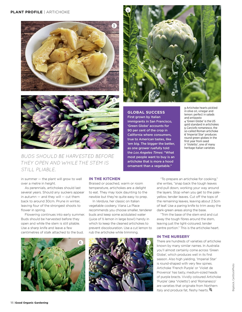 Good Organic Gardening Preview Pages