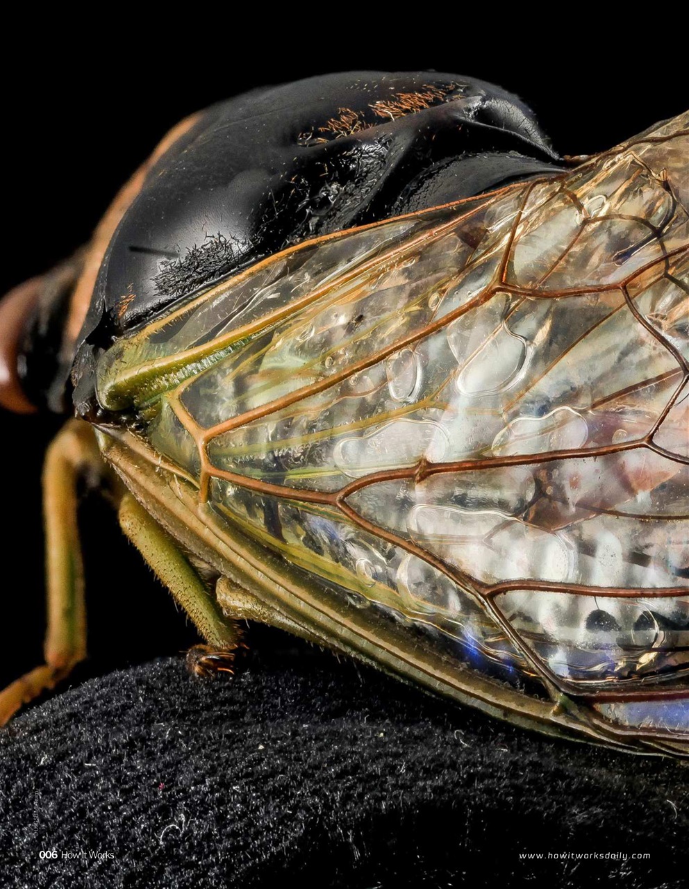 How It Works Preview Pages