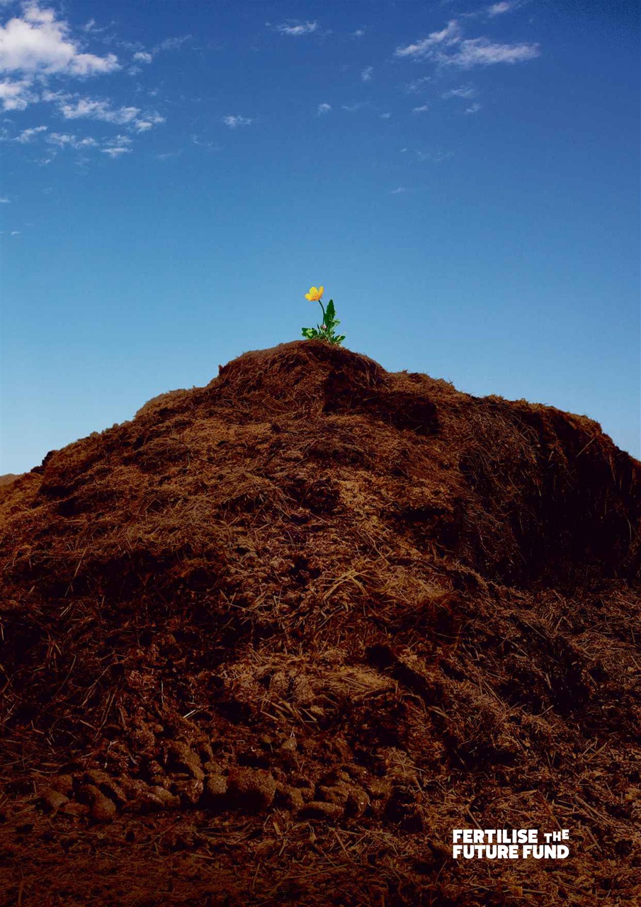 The Week Preview Pages