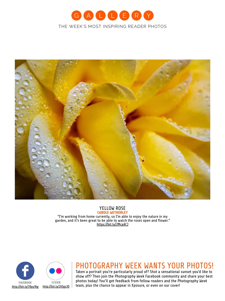 Photography Week Preview Pages