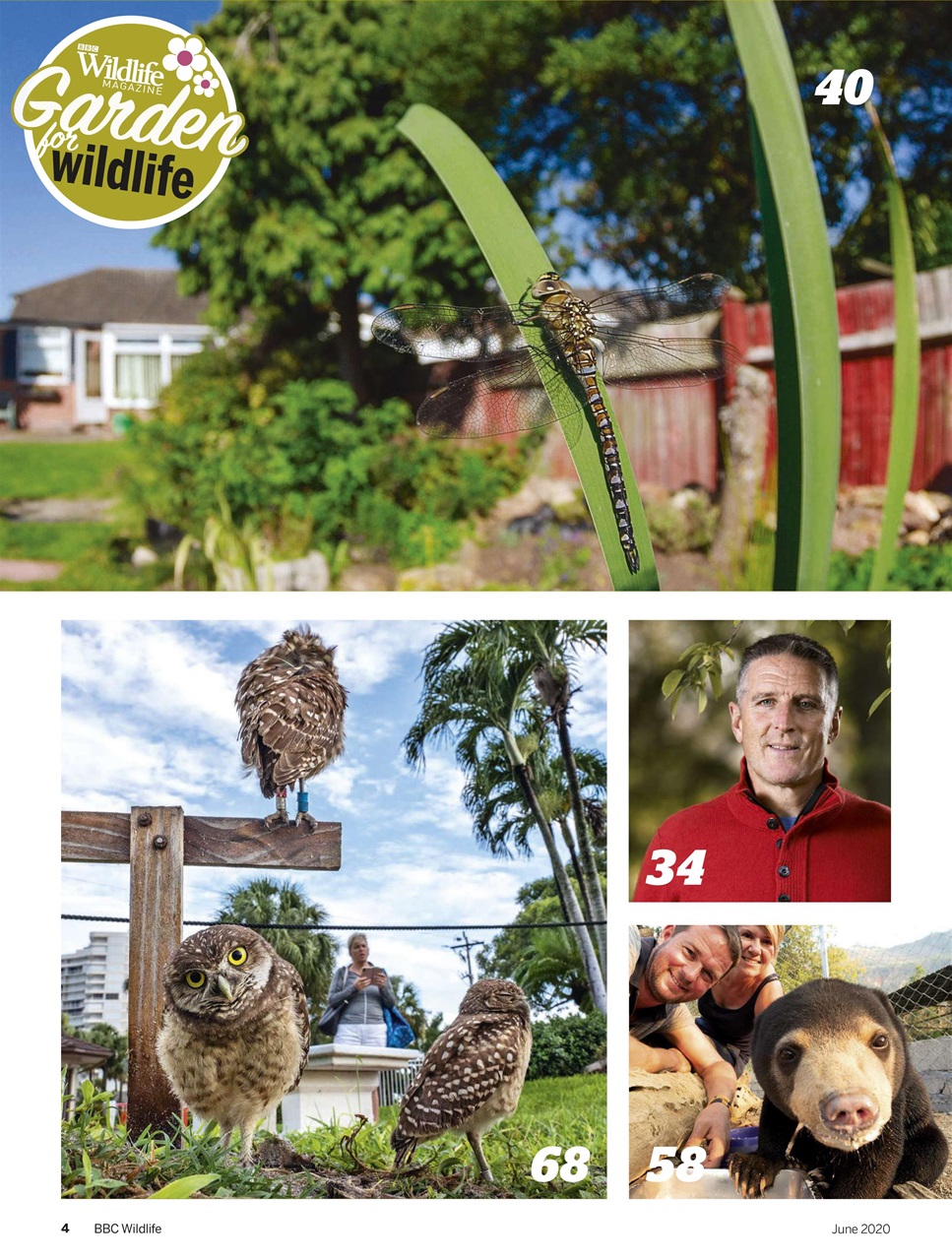 BBC Wildlife Magazine Preview Pages