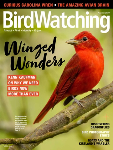 BirdWatching issue JulAug 2020