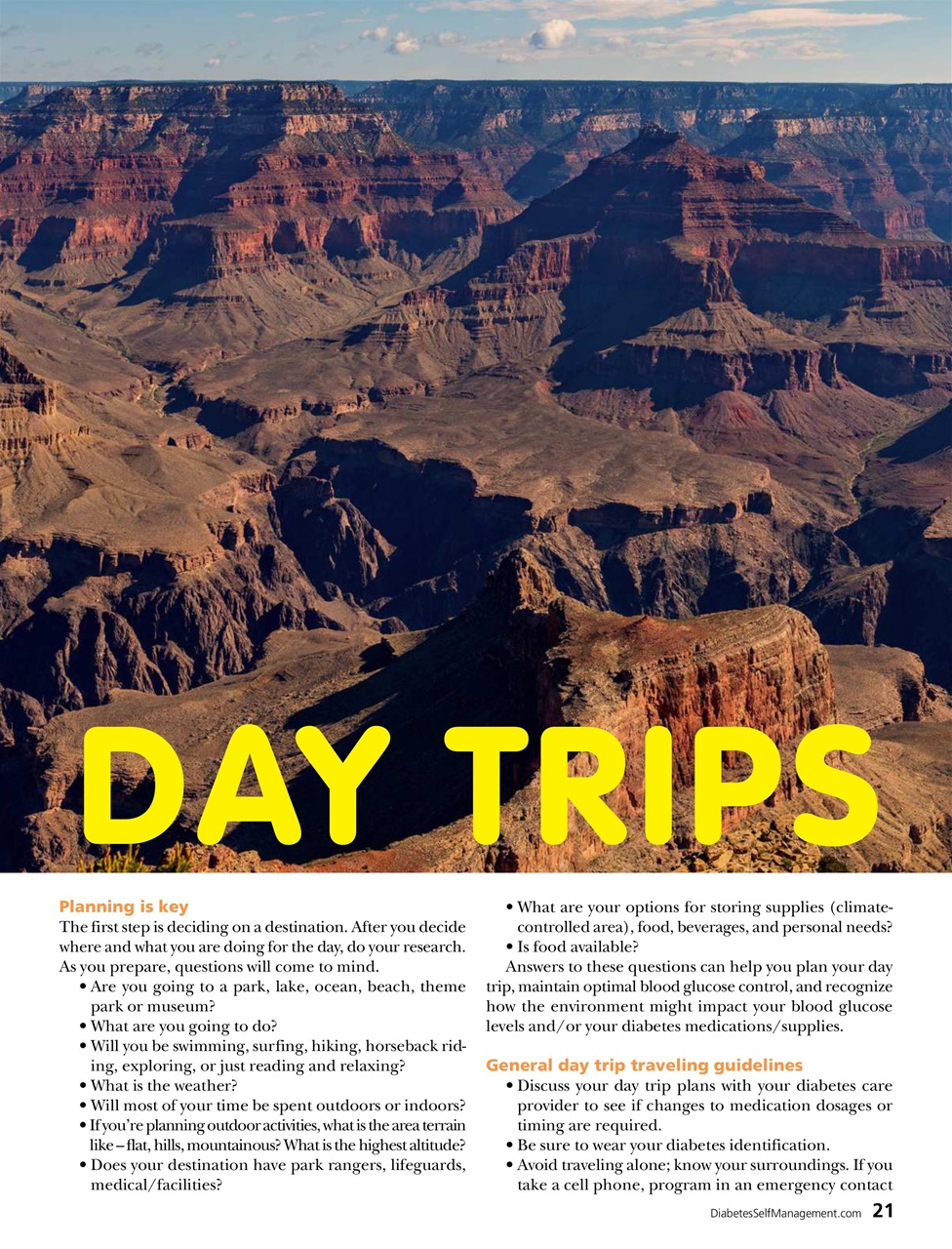 Diabetes Self-Management Preview Pages