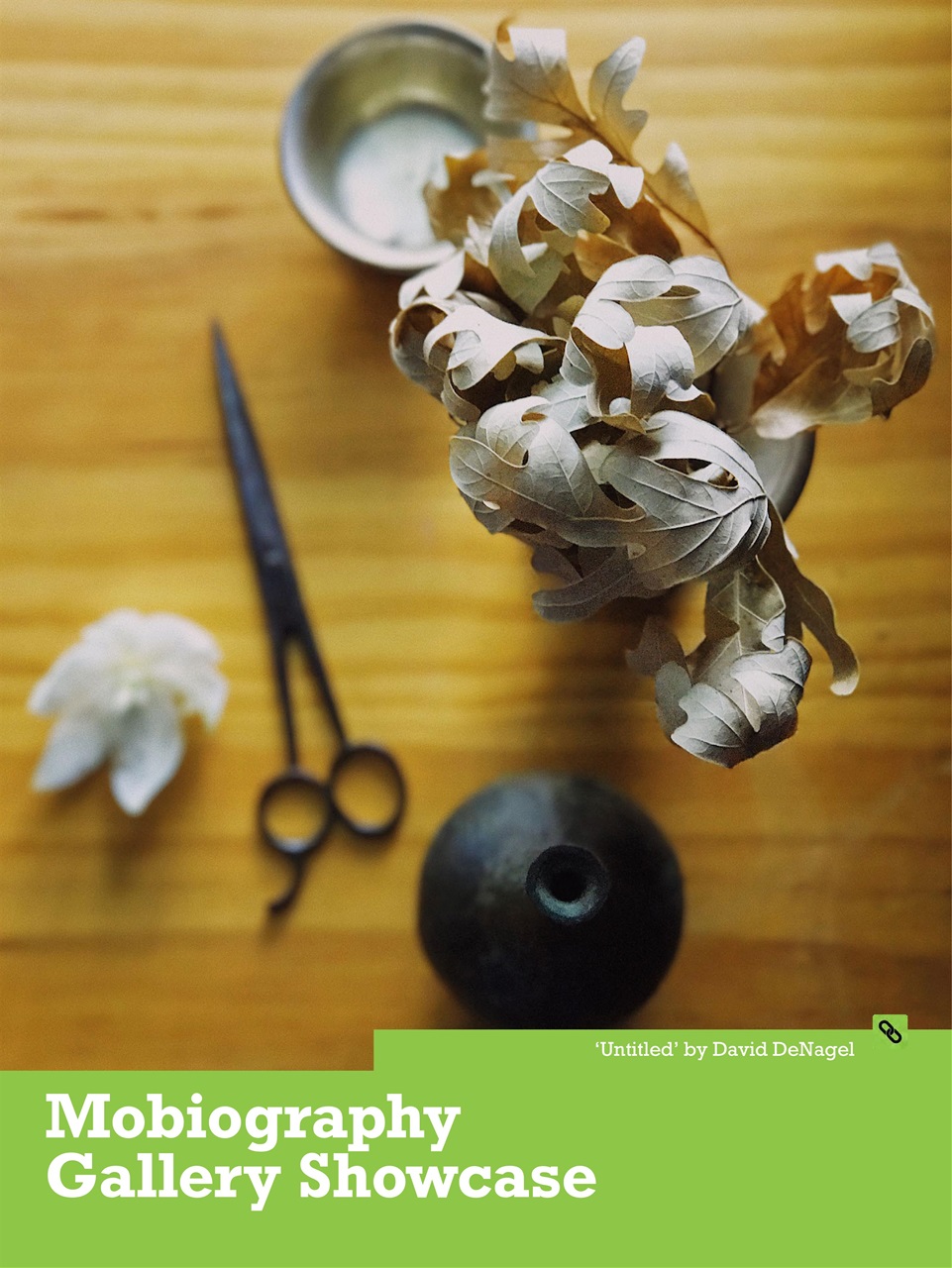 Mobiography Preview Pages