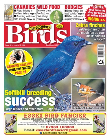Cage & Aviary Birds issue 10/06/2020