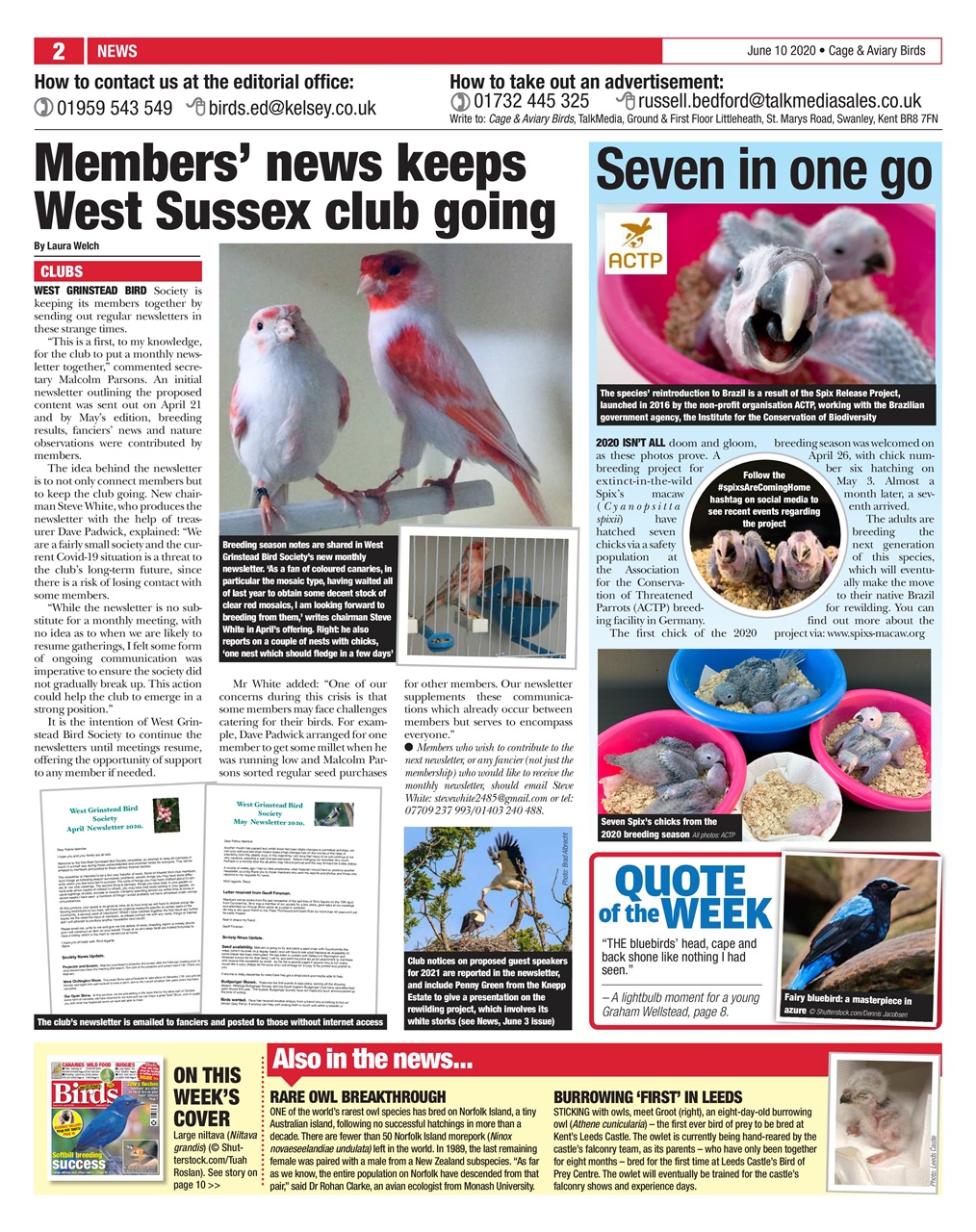 Cage & Aviary Birds Preview Pages