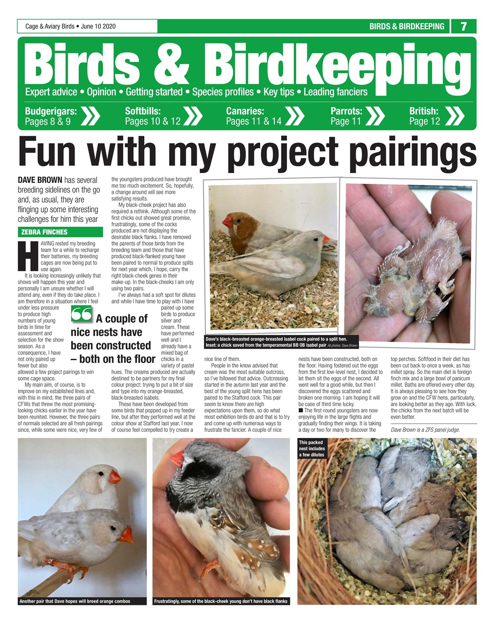Cage & Aviary Birds Preview Pages