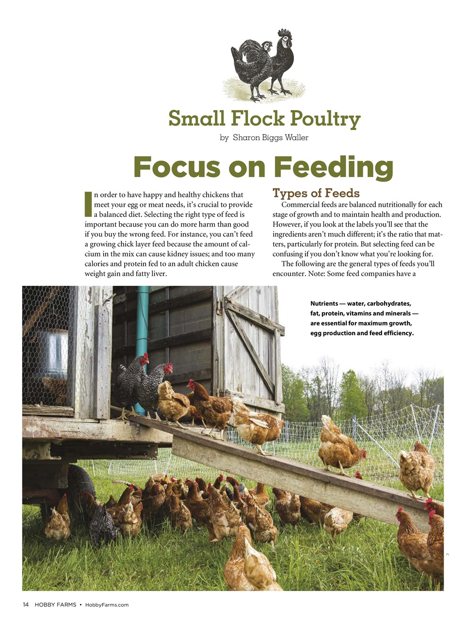 Hobby Farms Magazine Preview Pages