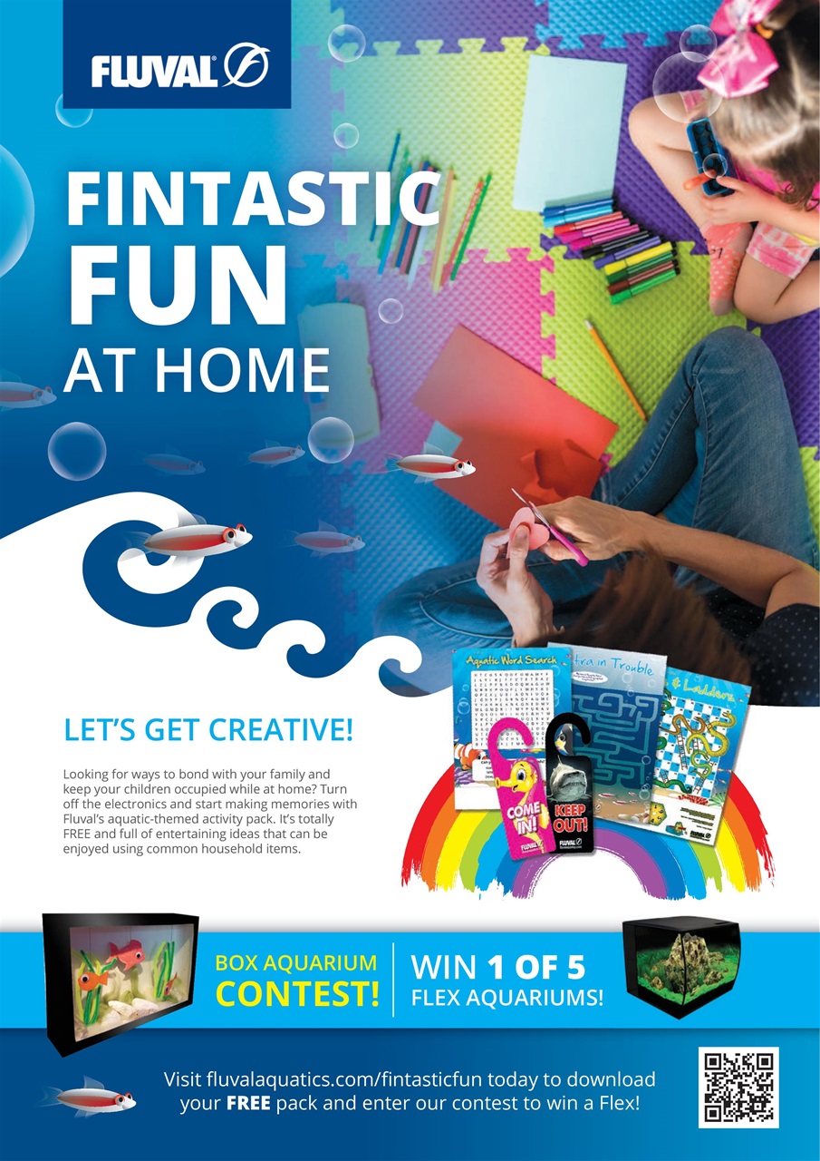 Practical Fishkeeping Preview Pages