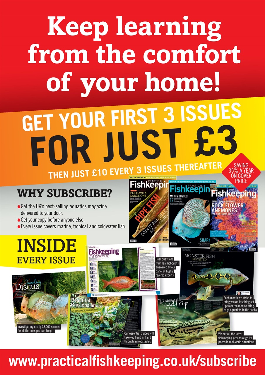 Practical Fishkeeping Preview Pages