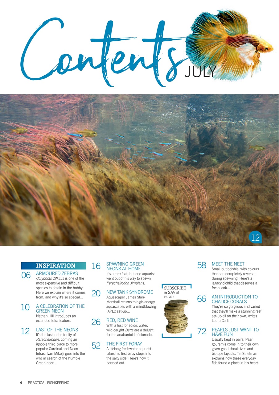 Practical Fishkeeping Preview Pages