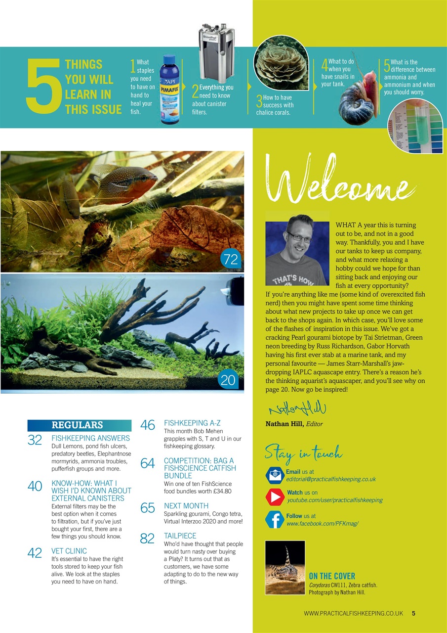 Practical Fishkeeping Preview Pages
