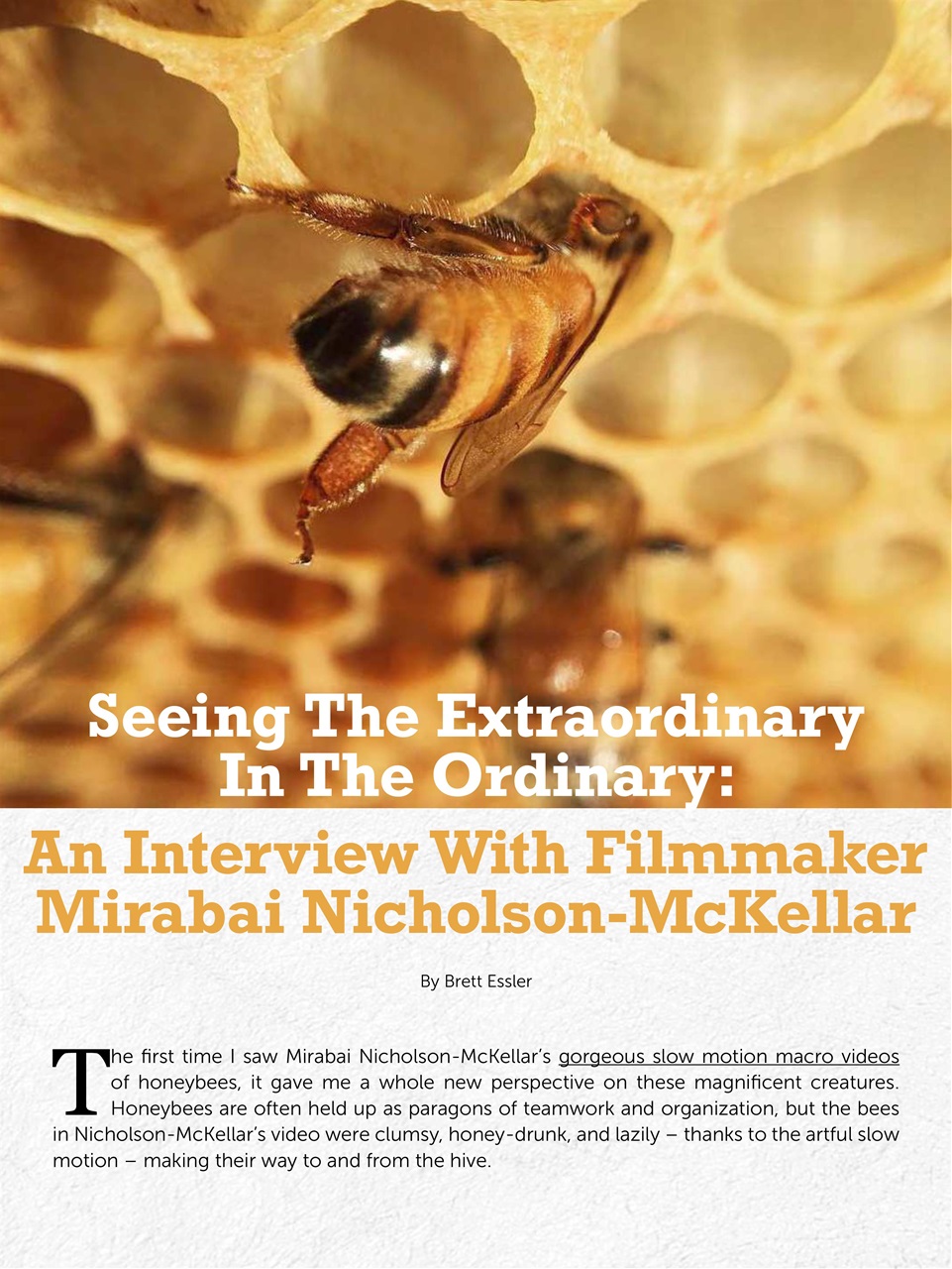 Mobiography Preview Pages