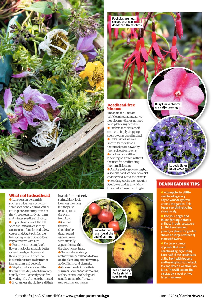Garden News Preview Pages
