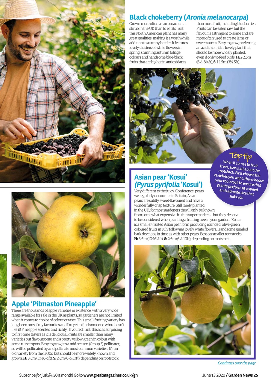Garden News Preview Pages