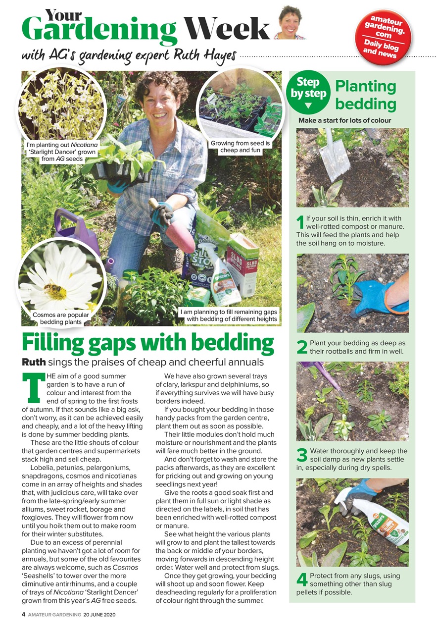 Amateur Gardening Preview Pages