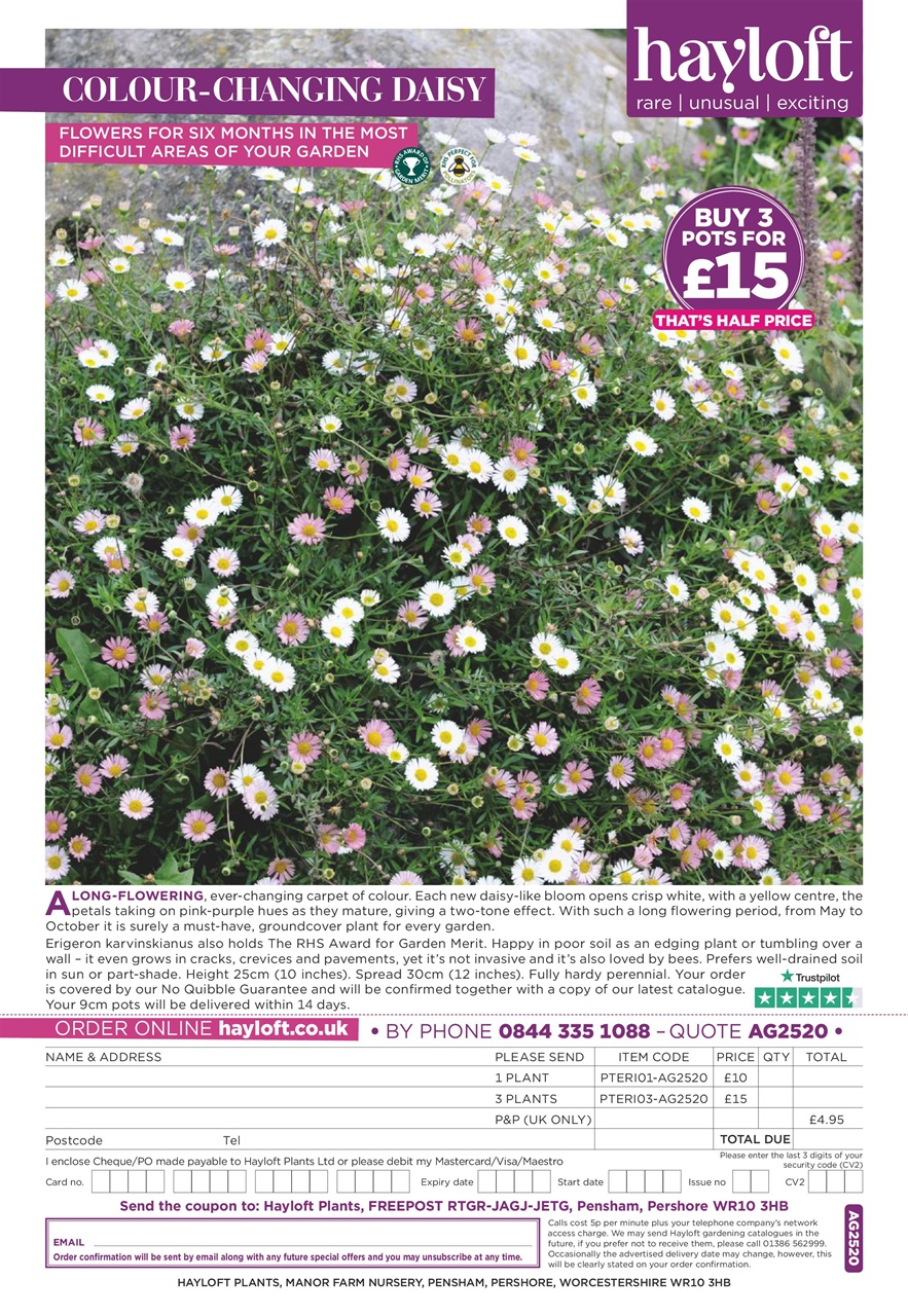 Amateur Gardening Preview Pages