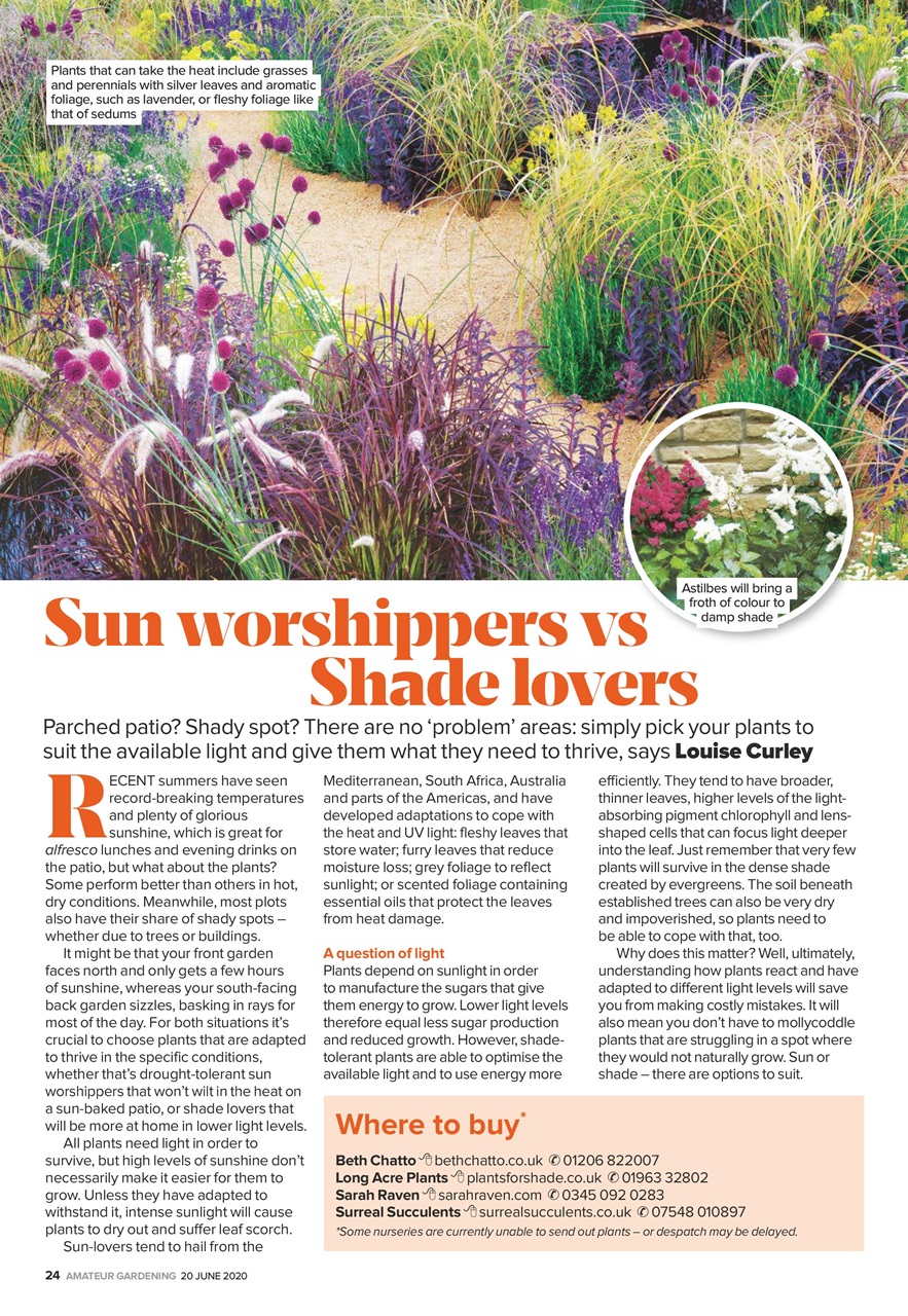 Amateur Gardening Preview Pages