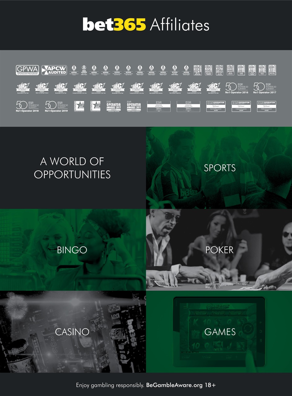 Trafficology Preview Pages