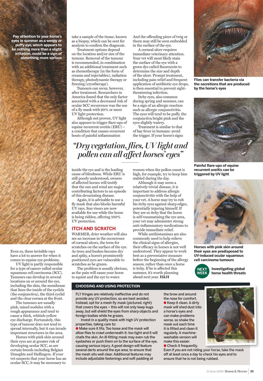 Horse & Hound Preview Pages