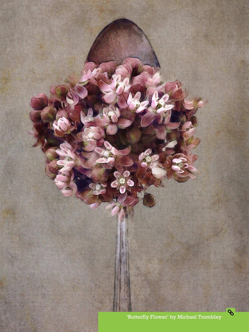 Mobiography Preview Pages