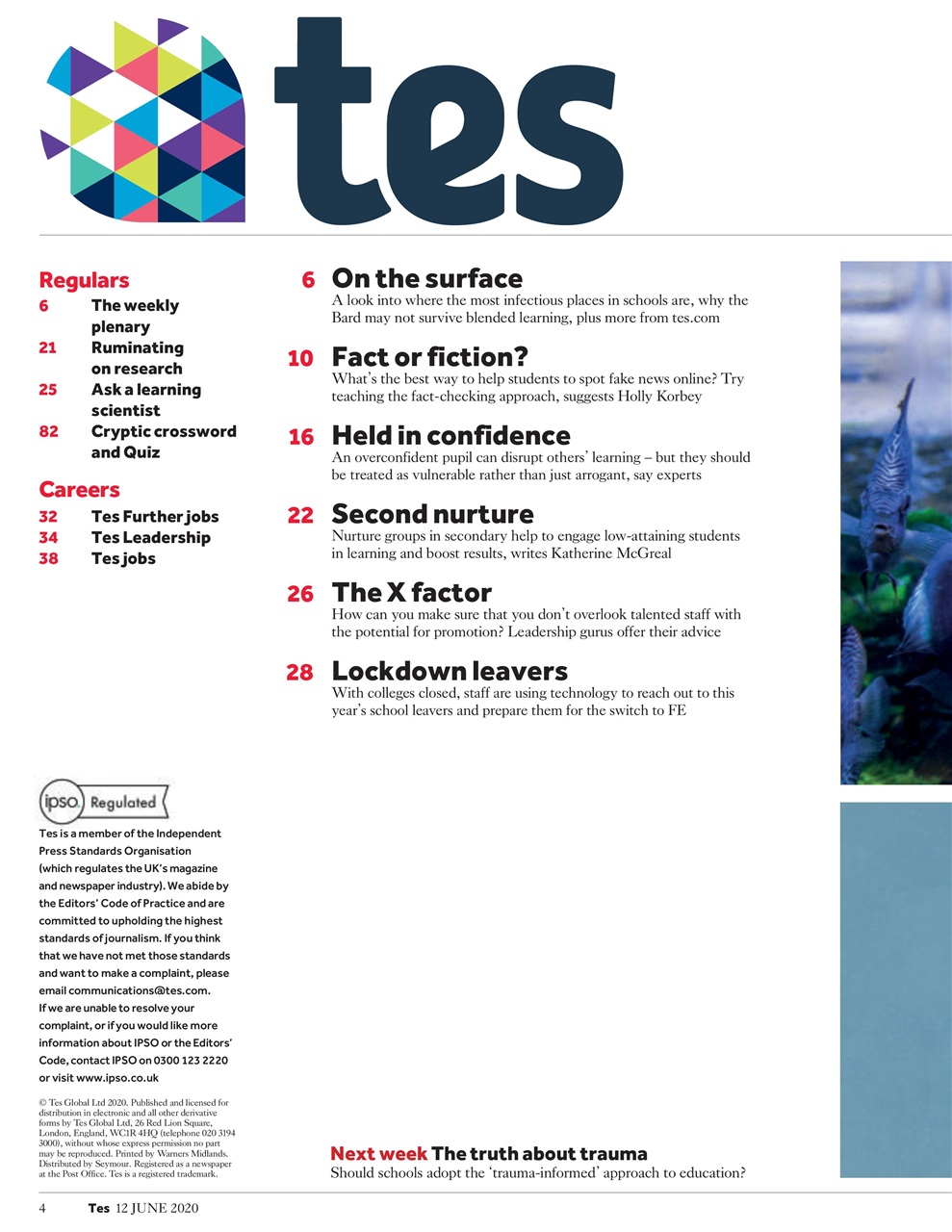 TES Preview Pages