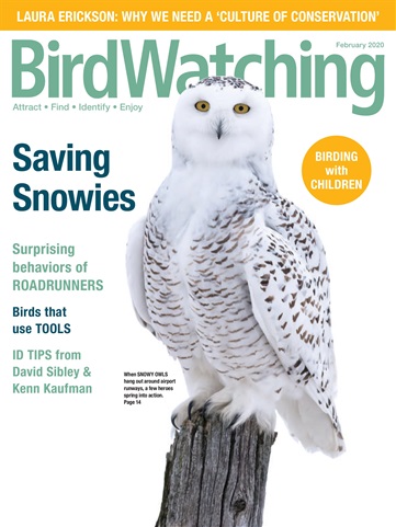 BirdWatching issue Jan/Feb 2020