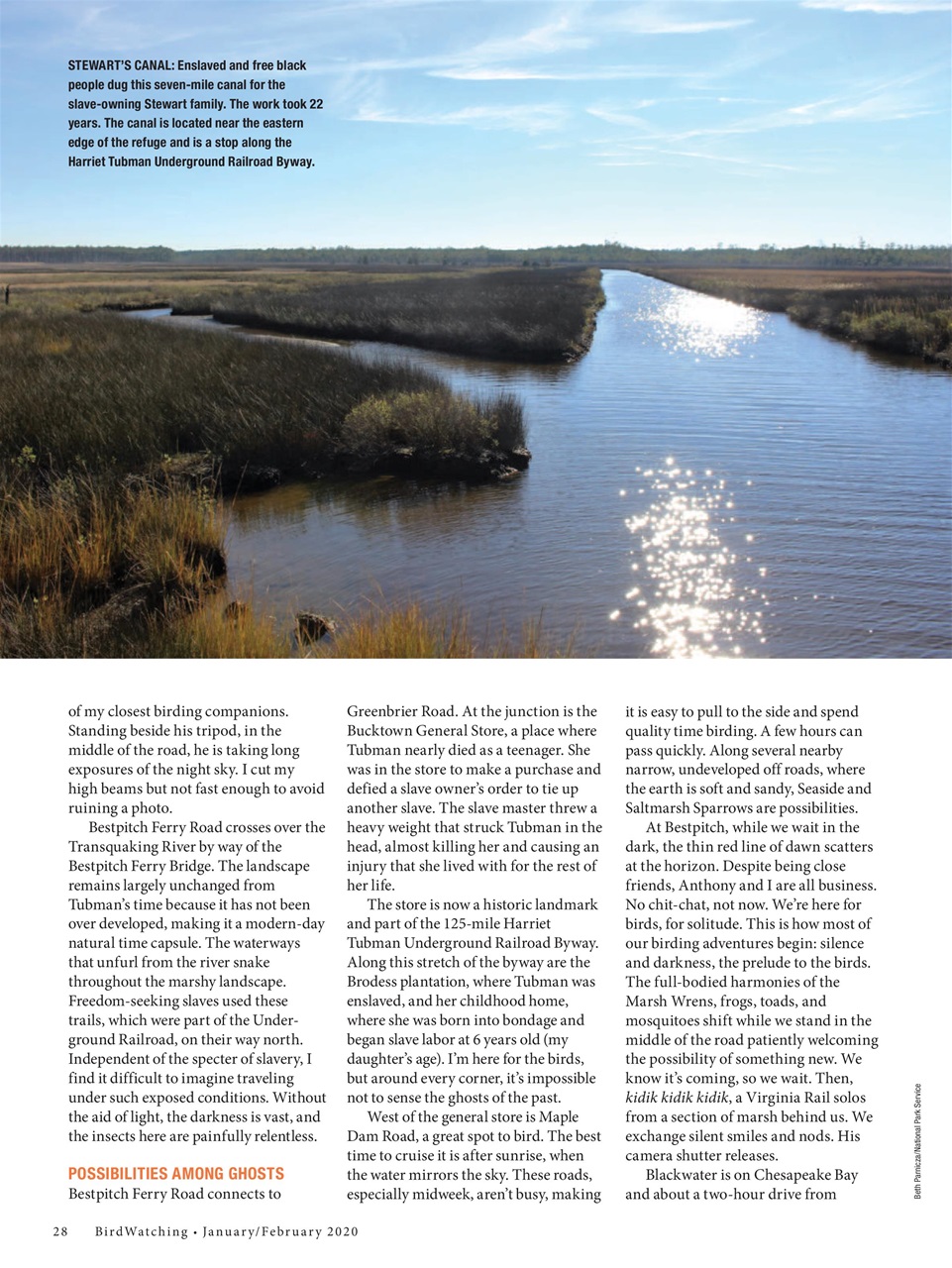 BirdWatching Preview Pages