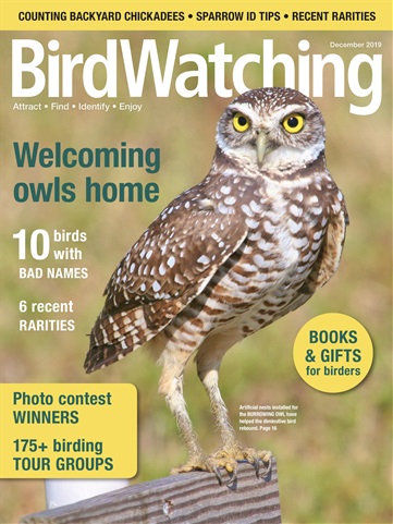 BirdWatching issue Nov/Dec 2019