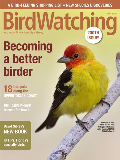 BirdWatching issue 