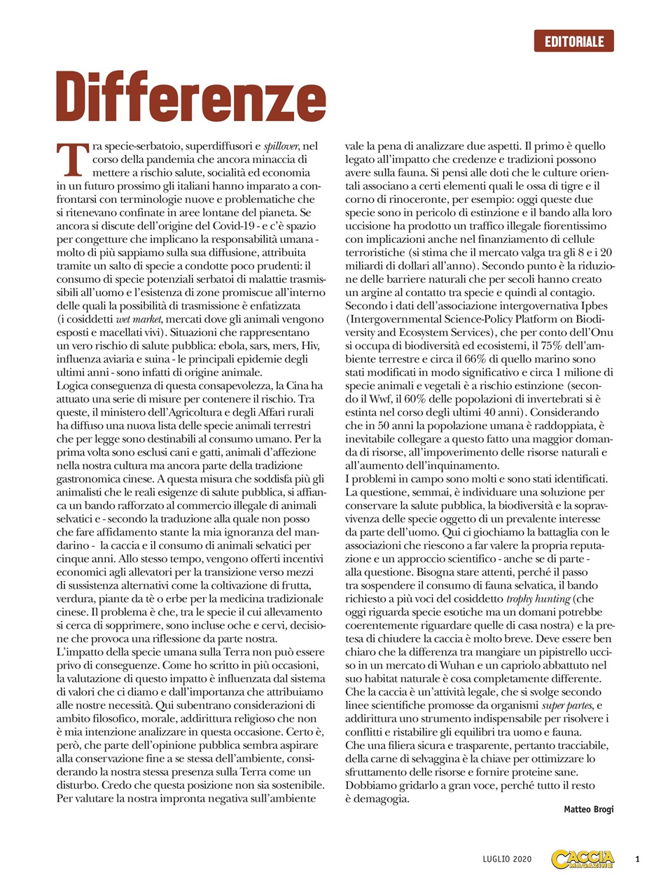 Caccia Magazine Preview Pages