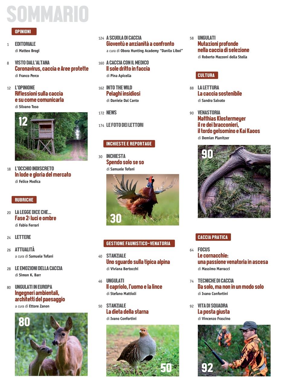 Caccia Magazine Preview Pages